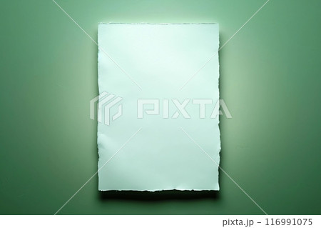 Empty white paper sheet isolated on green background 116991075