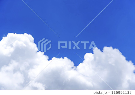 夏の青空と雲　横浜 116991133