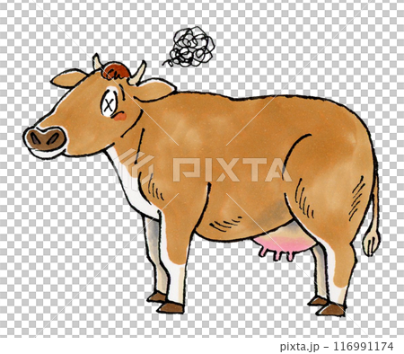 Jersey Cow Jersey Cow 116991174