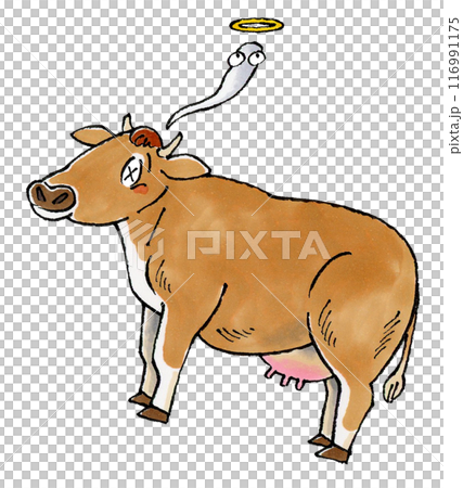 Dead Jersey Cow 116991175
