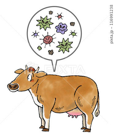 ジャージー牛と病原菌 ジャージー牛と病原菌 116991238