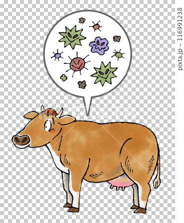 Jersey cows and pathogens 116991238