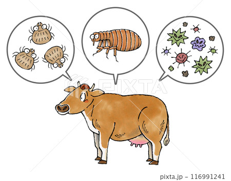 ジャージー牛と寄生虫(ダニ、ノミ、病原菌) 116991241