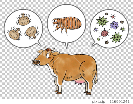 Jersey cows and parasites (ticks, fleas, and pathogens) Jersey cows and parasites (ticks, fleas, and pathogens) 116991241