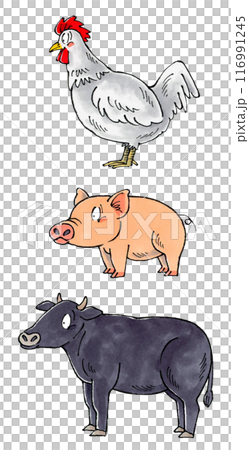 Meat set (chicken, pork, beef) Meat set (chicken, pork, beef) 116991245