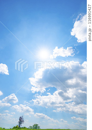 夏の青空と草原と太陽 116991427