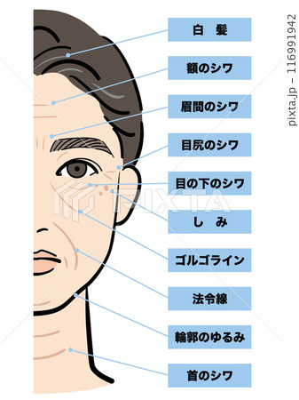 老化した男性の顔 116991942