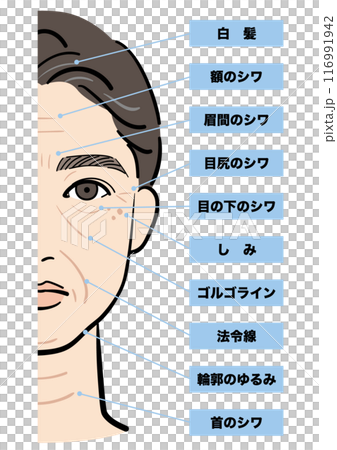 老化した男性の顔 116991942