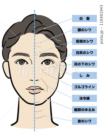 男性の顔　老化ビフォーアフター　文字あり 116991943