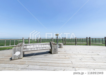 北海道釧路町　北斗展望台から望む夏の釧路湿原国立公園 116991949