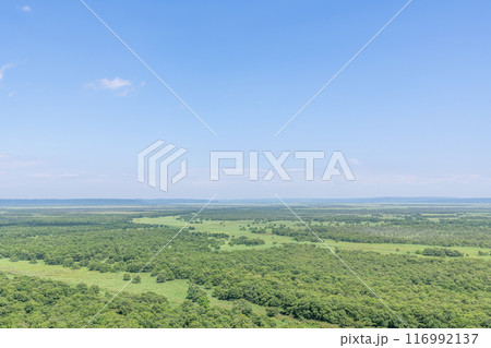 夏の北海道　人気の観光地　世界自然遺産に登録されている釧路湿原国立公園 116992137