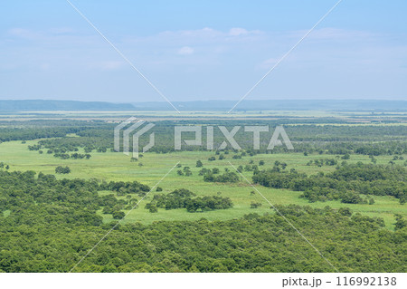 夏の北海道　人気の観光地　世界自然遺産に登録されている釧路湿原国立公園 116992138