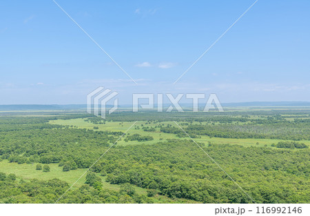 夏の北海道　人気の観光地　世界自然遺産に登録されている釧路湿原国立公園 116992146