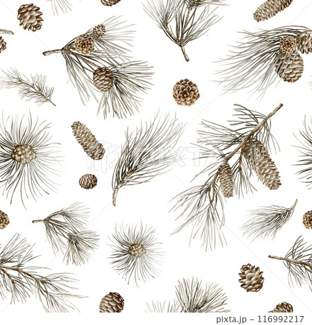 Christmas seamless background. Watercolor pattern with fir branches and pine cones for holiday wrapping. Nature design. Winter botanical evergreen plant. New Year textile. 116992217