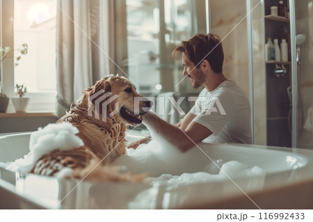 In a modern bathroom, a man carefully bathes his beloved Golden Retriever, lathering thick foam onto the dog's fur with gentle care, creating a scene of domestic grooming and canine wellness 116992433