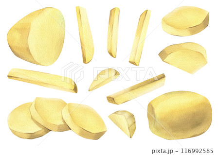 White potatoes, peeled, whole, half, cut into slices and sticks for French fries. Hand drawn watercolor illustration on the theme of cooking, food. Set of elements isolated from background White potatoes, peeled, whole, half, cut into slices and sticks for French fries. Hand drawn watercolor illustration on the theme of cooking, food. Set of elements isolated from background 116992585