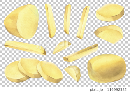 White potatoes, peeled, whole, half, cut into slices and sticks for French fries. Hand drawn watercolor illustration on the theme of cooking, food. Set of elements isolated from background White potatoes, peeled, whole, half, cut into slices and sticks for French fries. Hand drawn watercolor illustration on the theme of cooking, food. Set of elements isolated from background 116992585