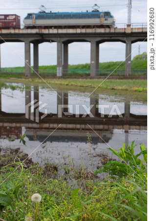 水田に車体を映しながら走り去るEF66形牽引の貨物列車_2022/4/29satuei 水田に車体を映しながら走り去るEF66形牽引の貨物列車_2022/4/29satuei 116992680
