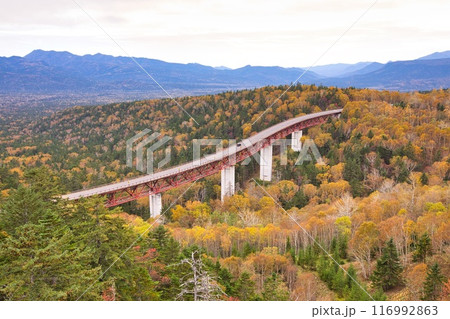 北海道 秋の三国峠 116992863