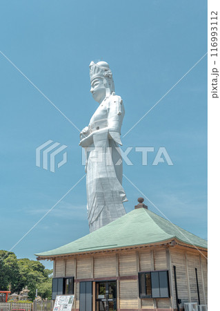 東京湾観音 116993112