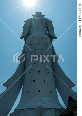 東京湾観音後ろ姿 116993114