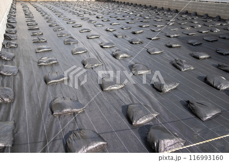 防草シートのイメージ 116993160