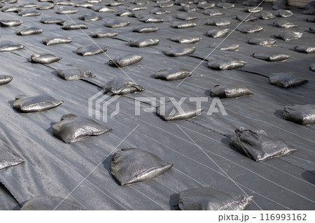 防草シートのイメージ 116993162