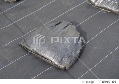 防草シートのイメージ 116993164