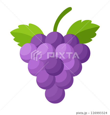 grape colorful fruit. Modern abstract flat style.  116993324
