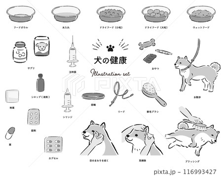 犬の健康関連のイラストセット 116993427