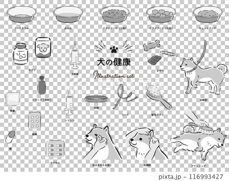 Dog health related illustration set 116993427