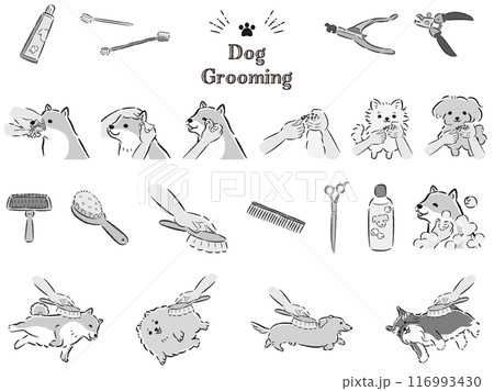 犬のケアのイラストセット 犬のケアのイラストセット 116993430