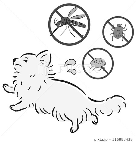 犬と害虫（蚊、ノミ、ダニ）のイラストセット 116993439