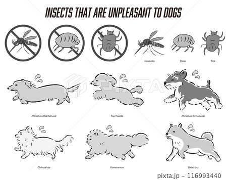 犬の虫対策のイラストセット 116993440