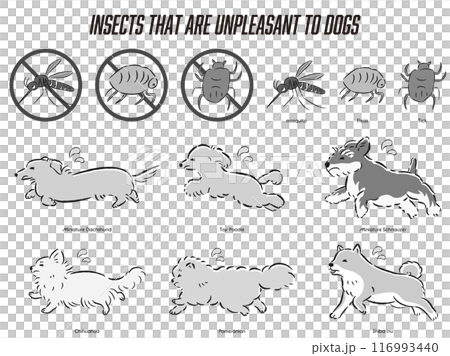 犬の虫対策のイラストセット 116993440