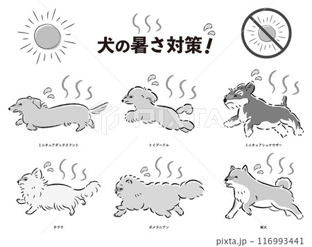 犬の暑さ対策のイラストセット 116993441