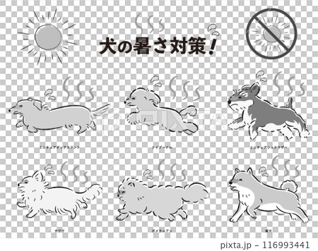 犬の暑さ対策のイラストセット 116993441
