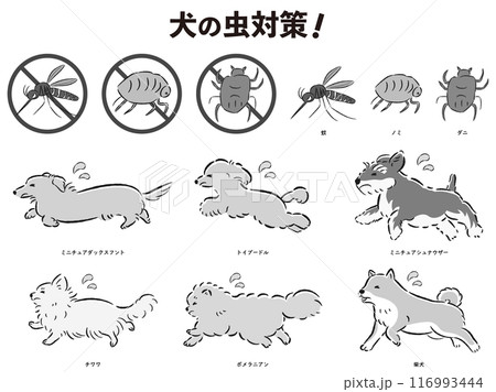 犬の虫対策のイラストセット 116993444