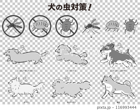 狗的昆蟲預防插圖集 116993444
