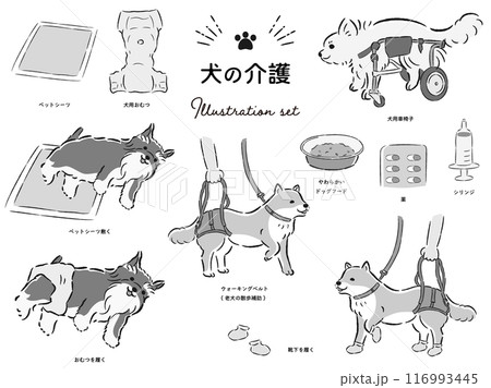 犬の介護関連のイラストセット 犬の介護関連のイラストセット 116993445