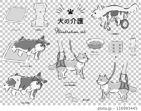 狗狗護理相關插畫集 狗狗護理相關插畫集 116993445