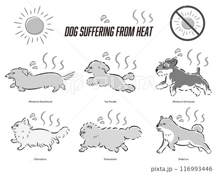 犬の暑さ対策のイラストセット 116993446