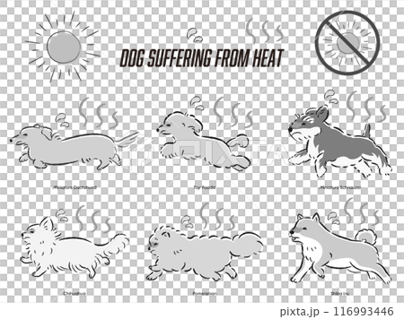 犬の暑さ対策のイラストセット 116993446