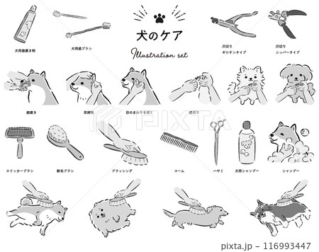 犬のケアのイラストセット 犬のケアのイラストセット 116993447