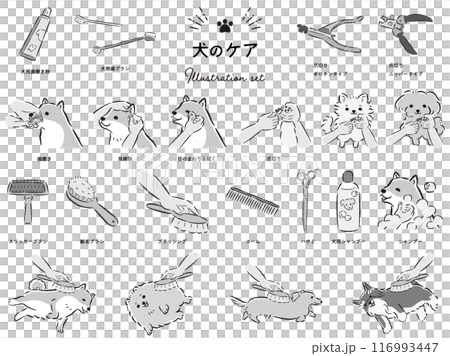 犬のケアのイラストセット 犬のケアのイラストセット 116993447