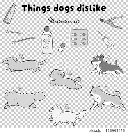 困った表情の犬と苦手な物のイラストセット 116993456