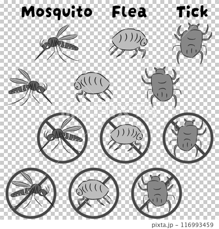 害蟲插圖集（蚊子、跳蚤、蜱蟲） 116993459
