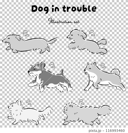 困った表情の犬のイラストセット 116993460