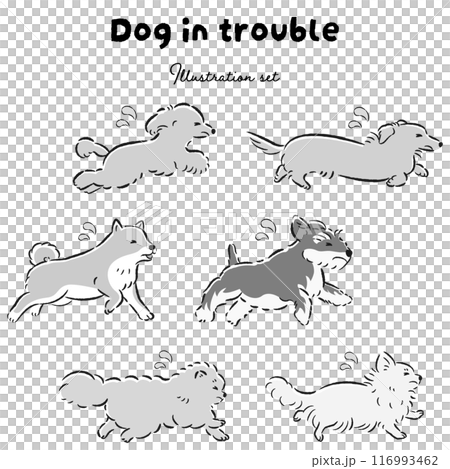 困った表情の犬のイラストセット 116993462