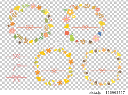 秋季植物插畫框架和 mizuhiki 套裝 116993527